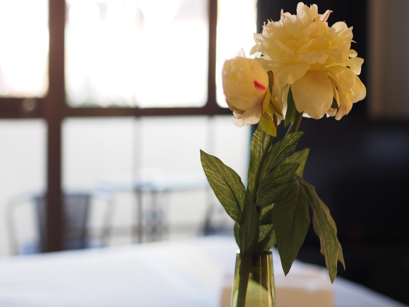 Tudor Court Motel Christchurch Ngoại thất bức ảnh